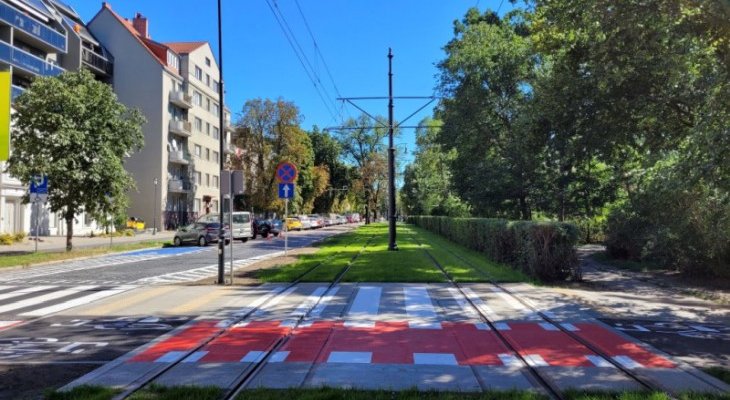 W Toruniu powstało zielone torowisko tramwajowe. Fot. MZK w Toruniu