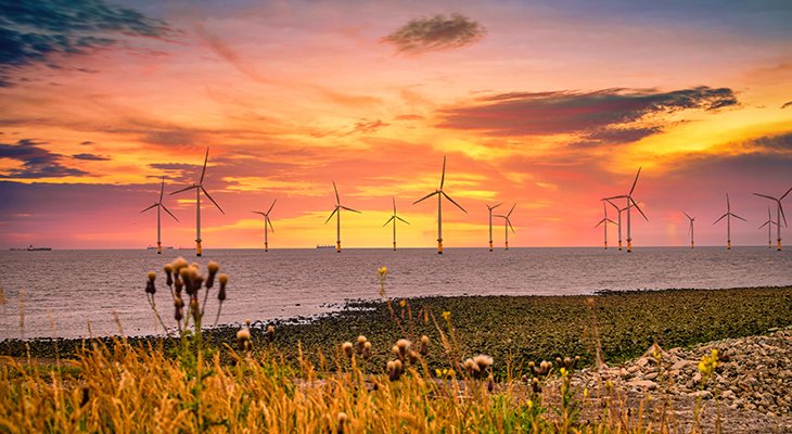 Rozwój morskiej branży wiatrowej z perspektywy globalnej. Fot. Adobe Stock