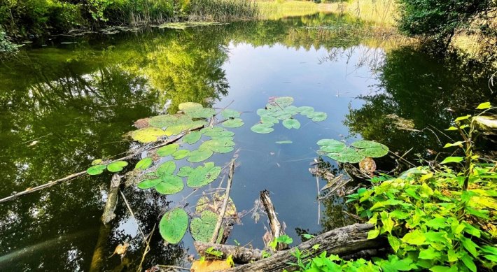 Stalowa Wola zbuduje zbiornik retencyjny. Źródło: UM Stalowa Wola