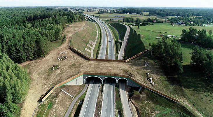 FOT. 1. | Przejście dla zwierząt na odcinku S61 Suwałki–Budzisko. Fot. GDDKiA 