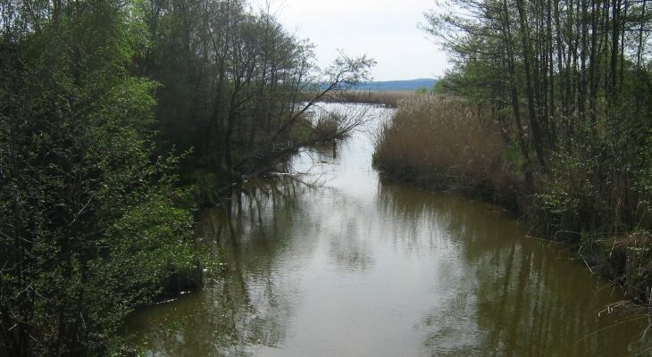 Lewińska Struga. Fot. Radosław Drożdżewski/wikimedia