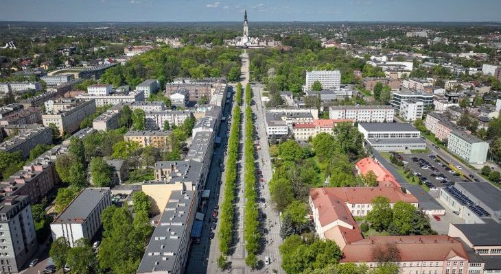 Aleja w Częstochowie. Fot. UM Częstochowa