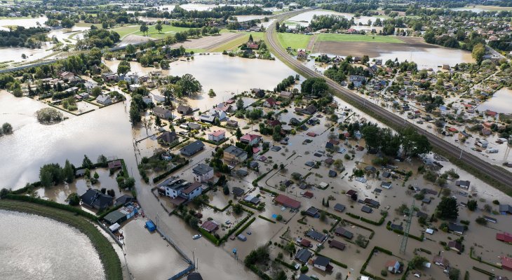 Fot. Elżbieta Kaps/Adobe Stock