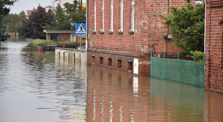 Fot. ksukasz/Adobe Stock