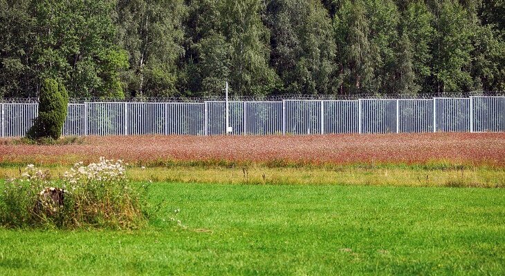 Fot. FotoDax/Adobe Stock