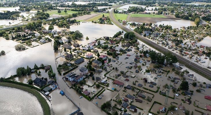 Fot. Elżbieta Kaps/Adobe Stock