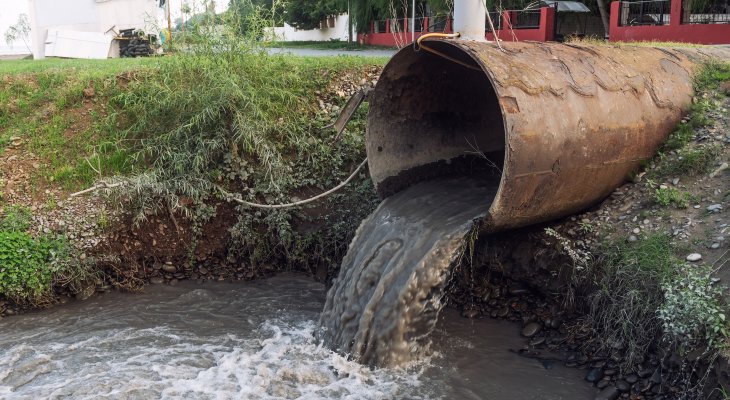 Fot. Vastram/Adobe Stock