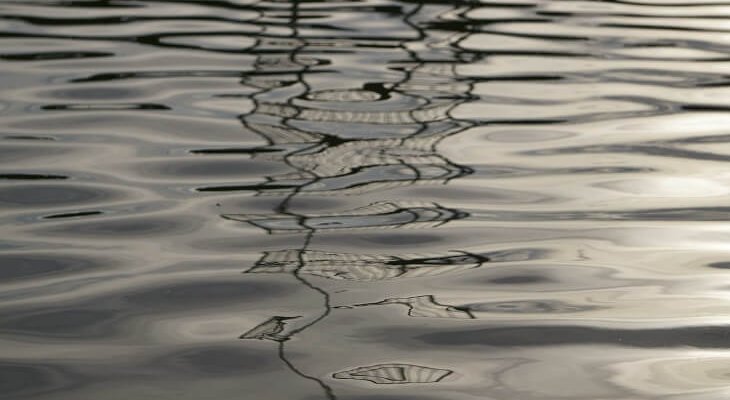 Fot. ilustrac. Magorzata/Adobe Stock