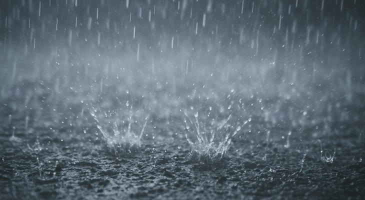 Fot. toufik/Adobe Stock