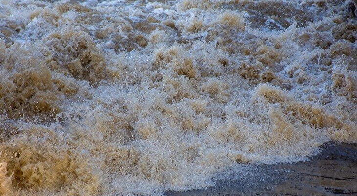 Fot. ilustrac. Grzegorz Polak/Adobe Stock