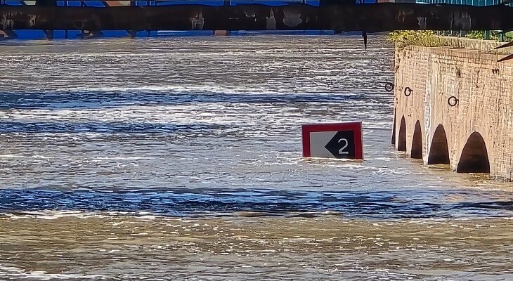 Fot.  Miroslaw/Adobe Stock