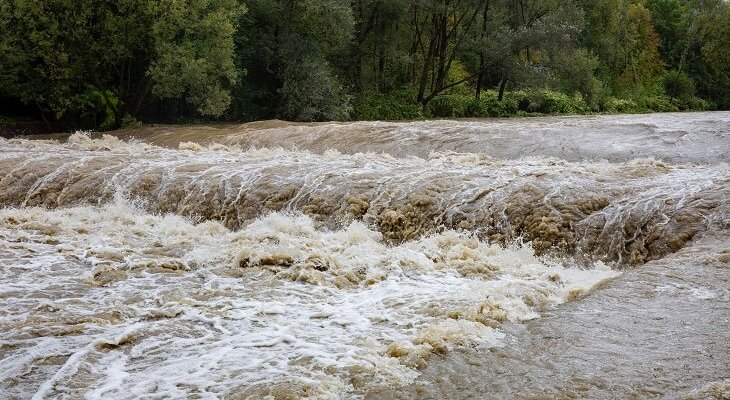 Fot ilustrac.  Michal Przystas/Adobe Stock