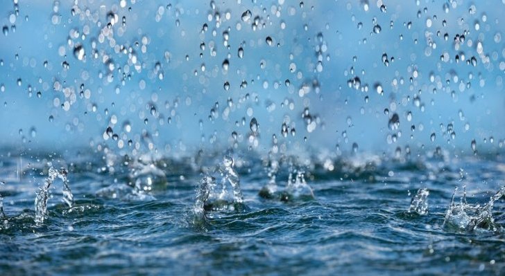 Fot. Vera Kuttelvaserova/Adobe Stock