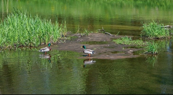 Fot.  Paweł Kacperek/Adobe Stock