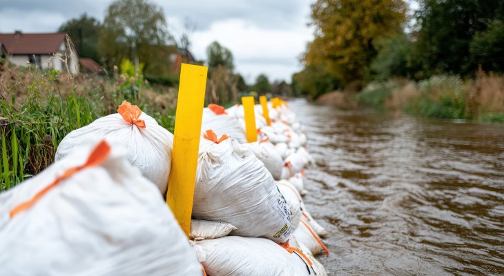 Fot. AdobeStock/Suryani 