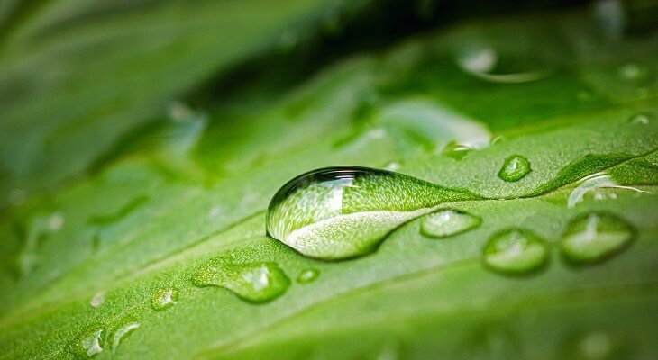 Fot. NARONG/Adobe Stock