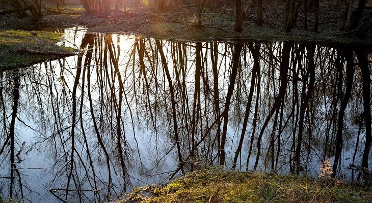 Fot. ilustrac. FotoRugenwaldeFX/Adobe Stock