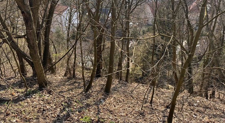 Fot. Gorzowskie Inwestycje Miejskie