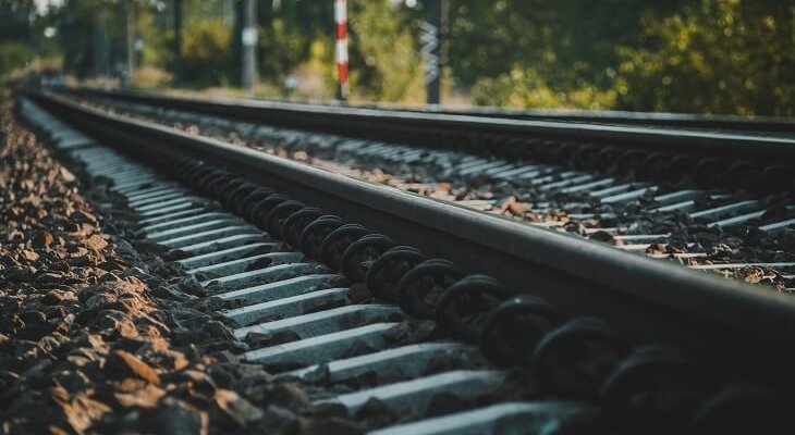 Fot. ilustrac. Adam/Adobe Stock