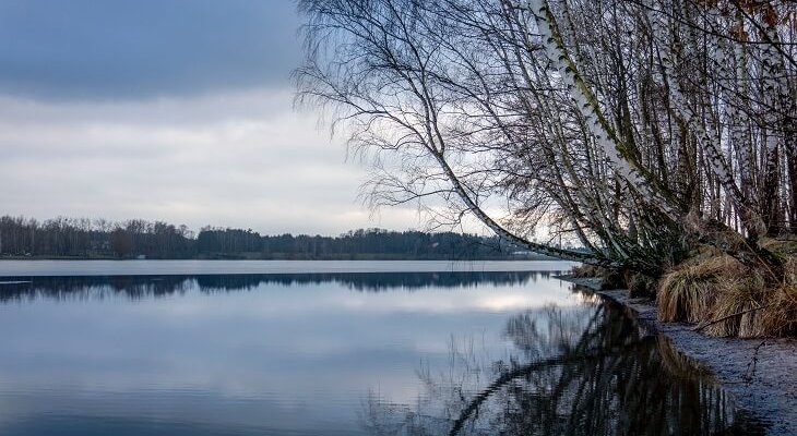 Fot. Micha/Adobe Stock