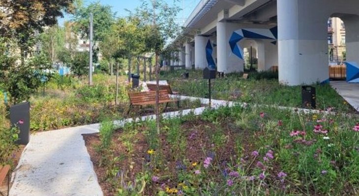 Fot. Zarząd Zieleni Miejskiej w Krakowie