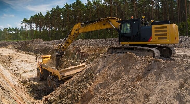 Fot.  Adam Kraszewski/Adobe Stock