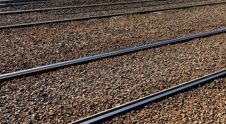 Fot. Miroslaw/Adobe Stock