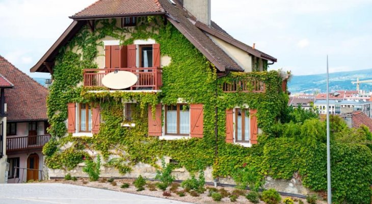 Fot. osuszaniebudynku.com