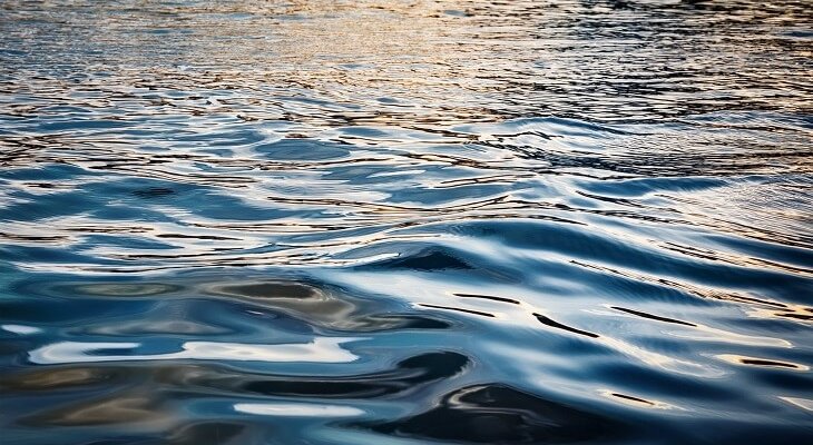 Fot.  Danielle/Adobe Stock (wygenerowane za pomocą sztucznej inteligencji)