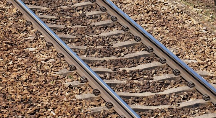 Fot. Adam/Adobe Stock