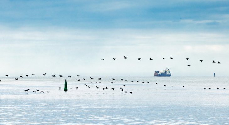 Prace na morzu. Fot. Gaz-System