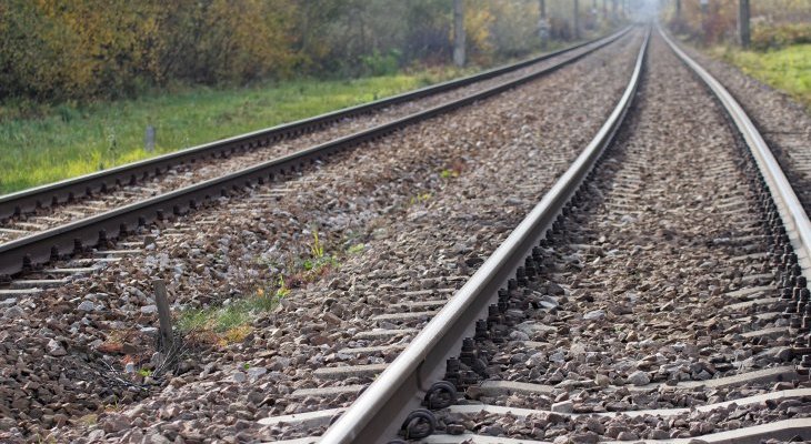 Fot. Adam Sadlak/Adobe Stock