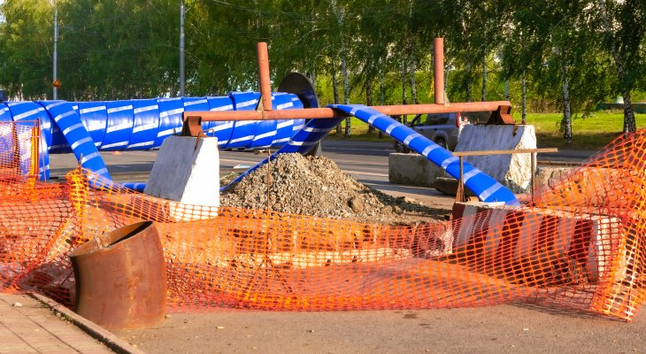 Fot. Dmitrii/AdobeStock