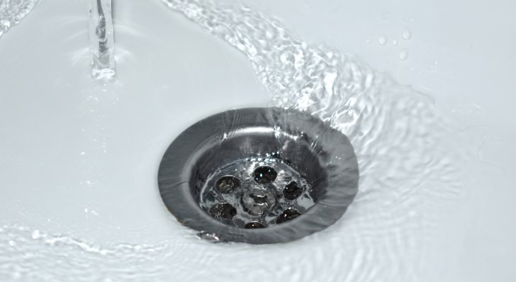 Fot. ilustr. equos/Adobe Stock