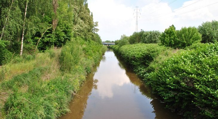 Rzeka Rawa w Katowicach. Fot. Marek Mróz/wikimedia