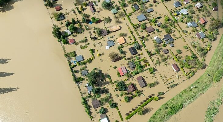 Fot. Elżbieta Kaps/Adobe Stock