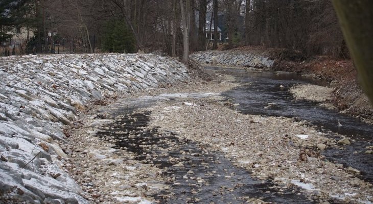 Potok Pisarzówka. Fot. Wody Polskie