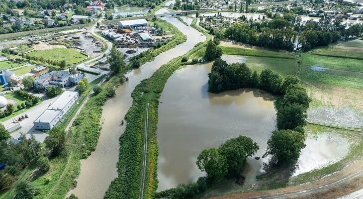 Fot. Elżbieta Kaps/Adobe Stock