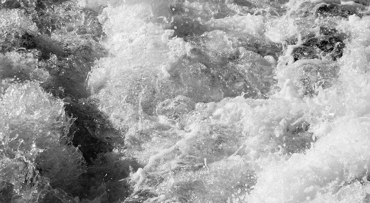 Fot.  angloma/Adope Stock