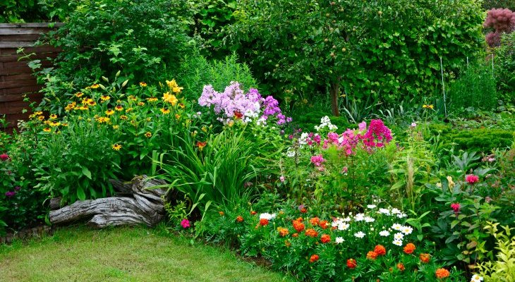 Fot. ilustr. kateej/Adobe Stock