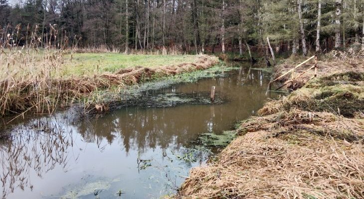 Fot. arch. ZWiK w Szczecinie