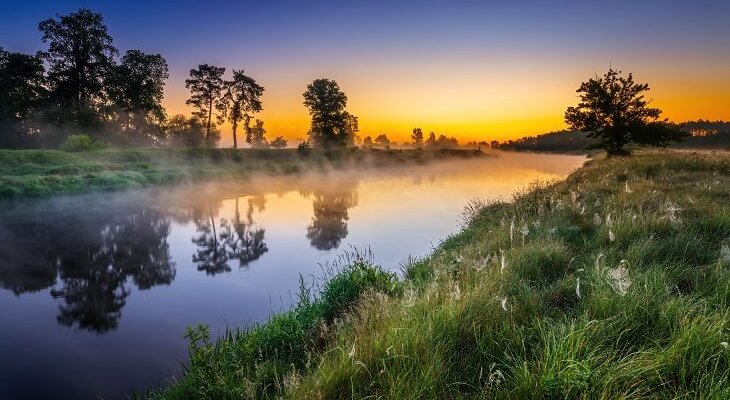 Fot. ilustrac. Michal45/Adobe Stock