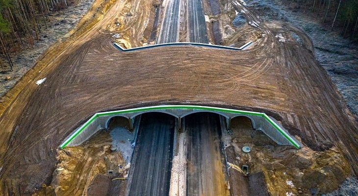 Budowa drogi ekspresowej S11. Fot. GDDKiA