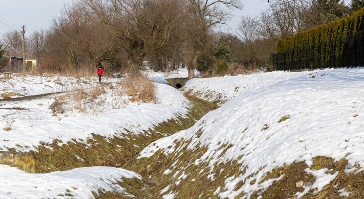 Fot. Bogusław Świerzowski / www.krakow.pl