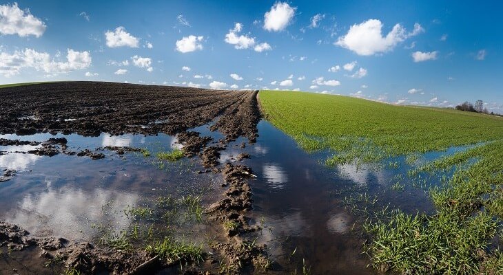 Fot. Blaszko/Adobe Stock