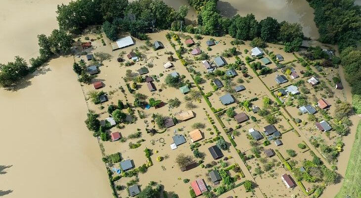 Fot. Elżbieta Kaps/Adobe Stock