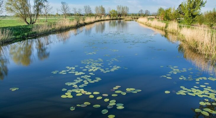 Fot.  VinyLove Foto/Adobe Stock