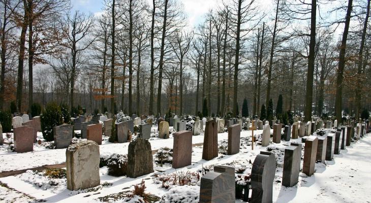 Gdzie może powstać cmentarz? Fot. Catkin/Pixabay
