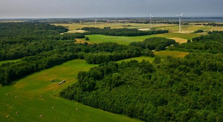 Energa - farma wiatrowa w Karcinie. Fot. Energa