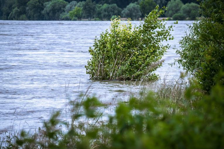 Czy regulacje rzek chronią nas przed powodziami? Fot. Pixabay